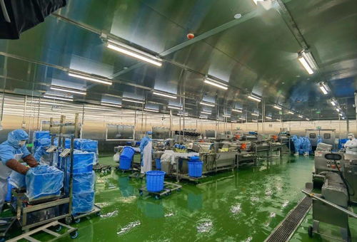 配送服務背后的質(zhì)量堅守 七道檢測下的2.6萬名師生體驗